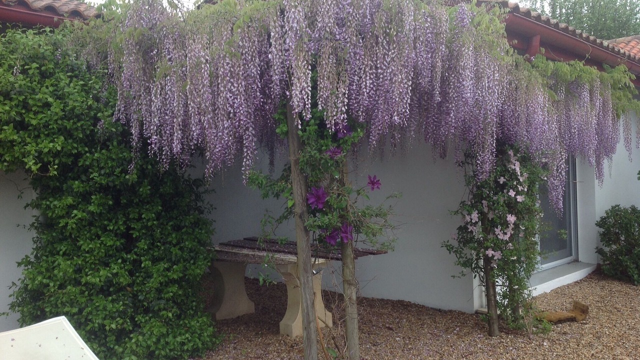 Photo of Outdoor in Souraide