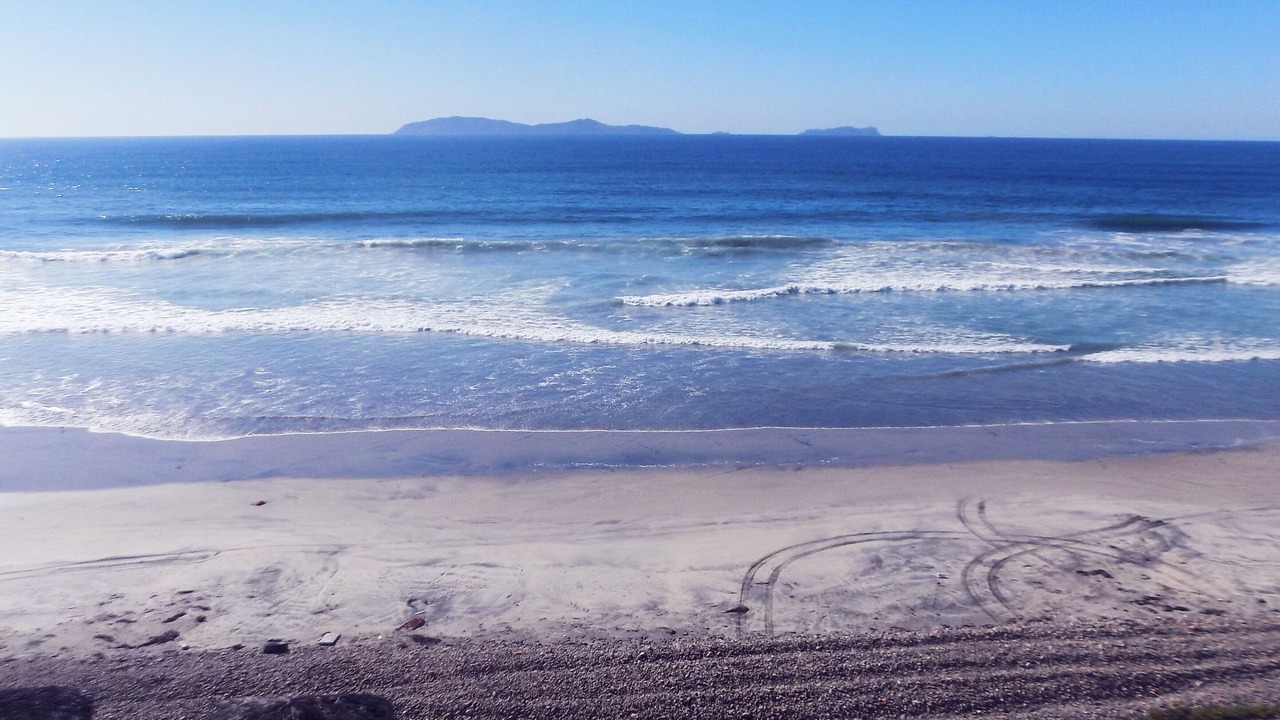 Photo of Others in San Antonio del Mar