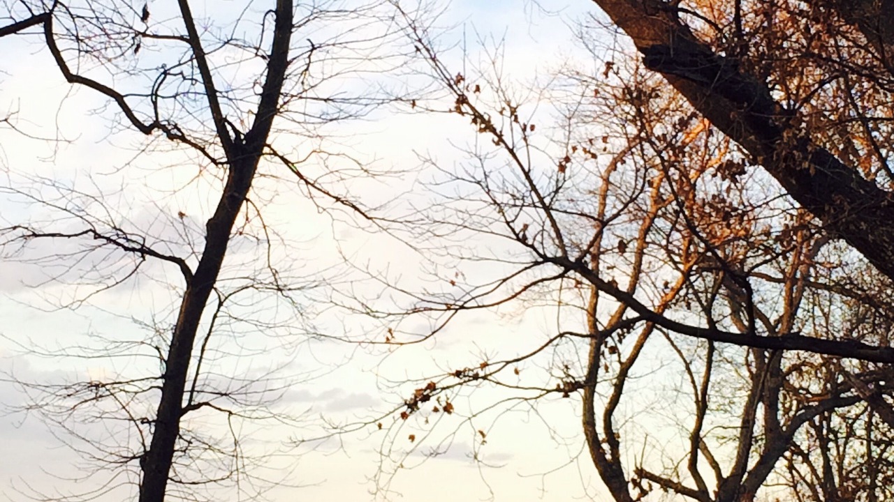 Photo of Outdoor in Cleora