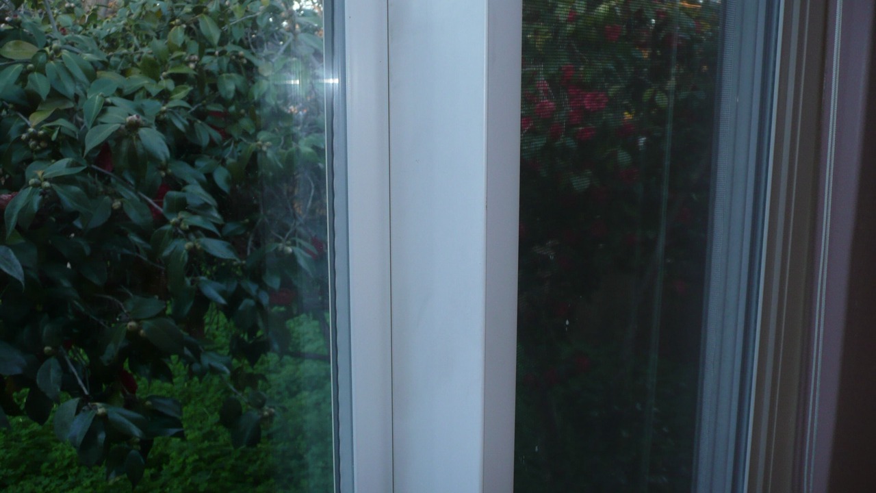 Photo of Others in Upper B Street