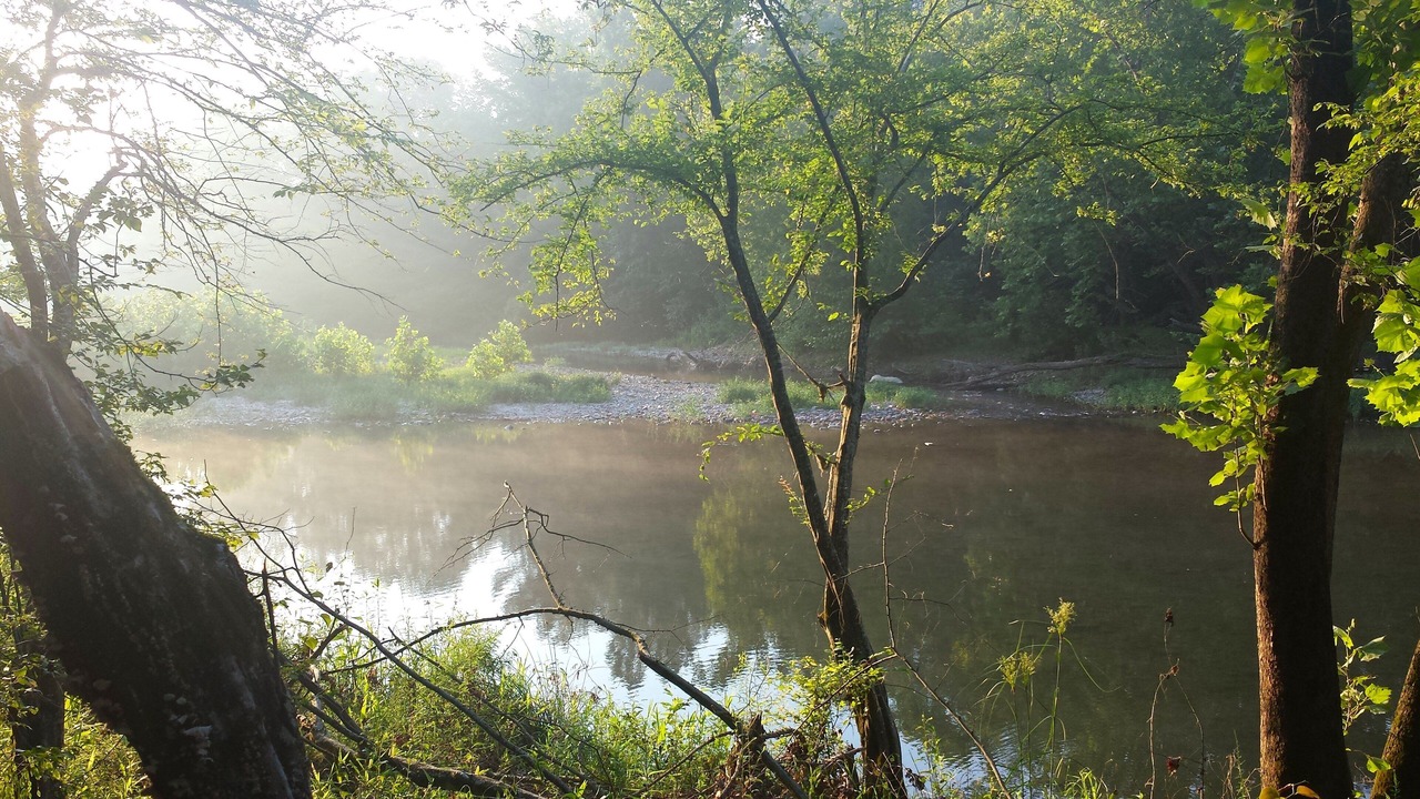 Photo of Others in Caddo Gap