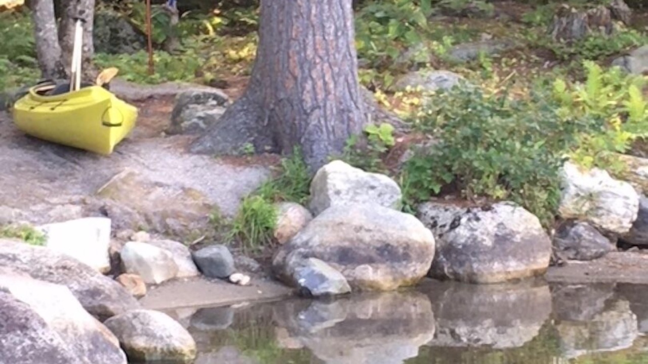 Photo of Outdoor in Bridgton