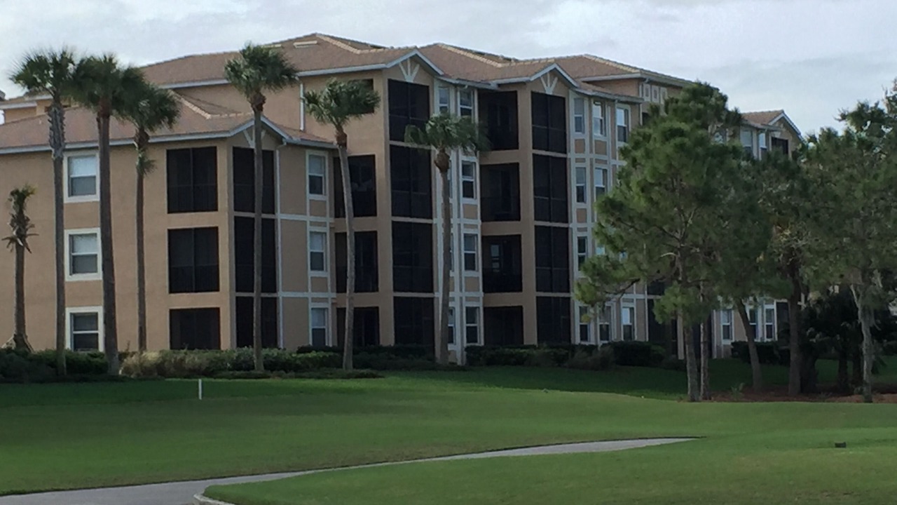 Photo of Outdoor in Braden River