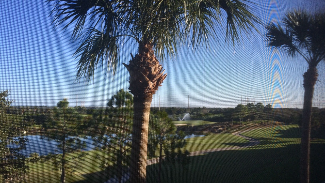 Photo of Others in Braden River
