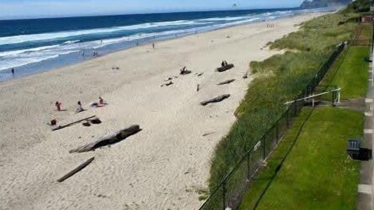 Photo of Others in Lincoln City