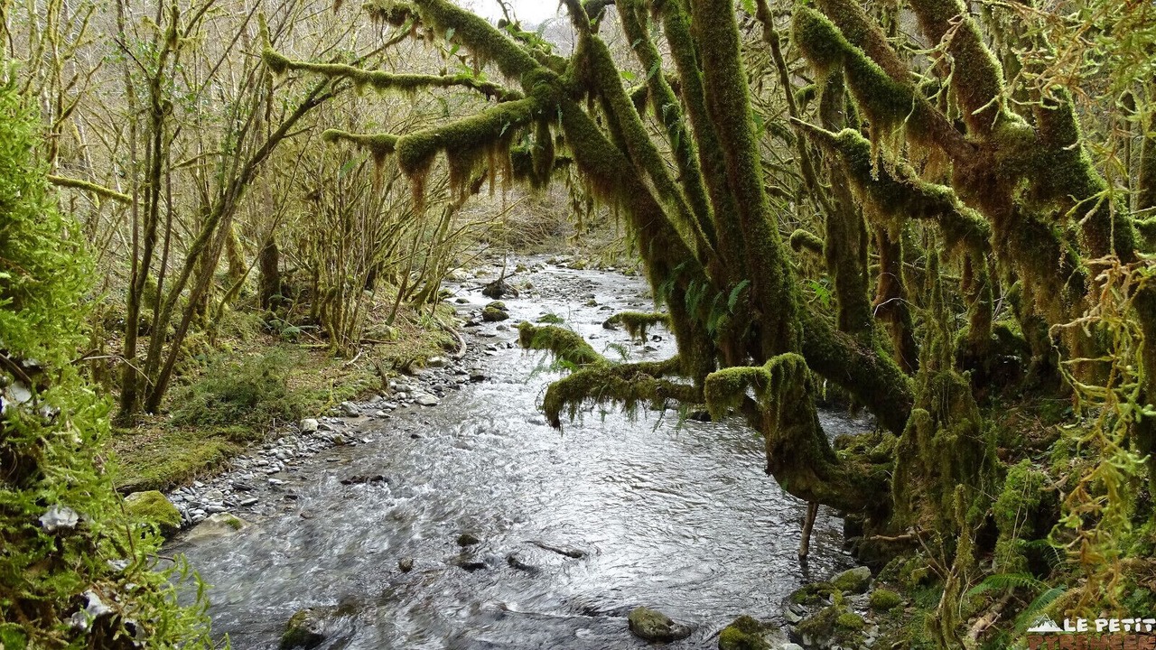 Photo of Outdoor in Begole
