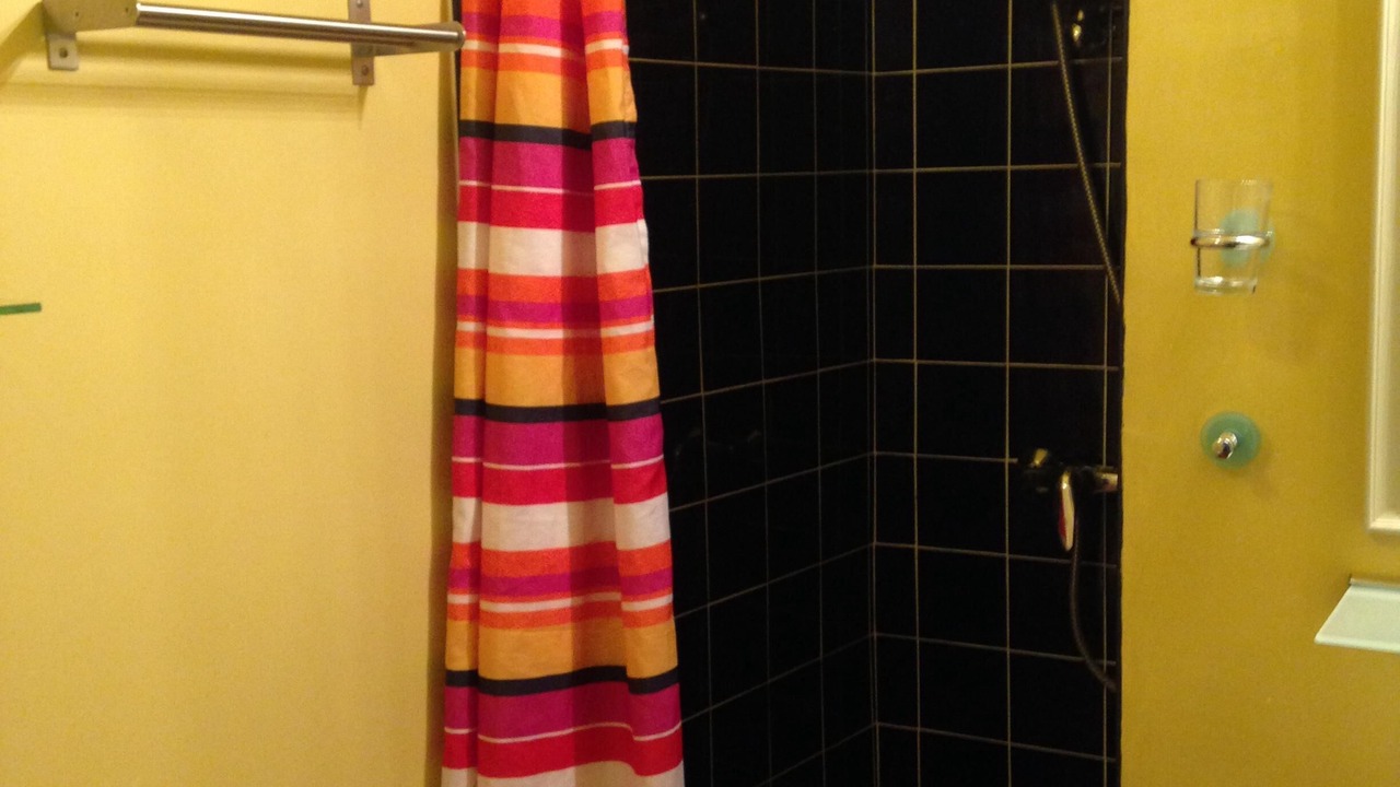 Photo of Bathroom in Montech