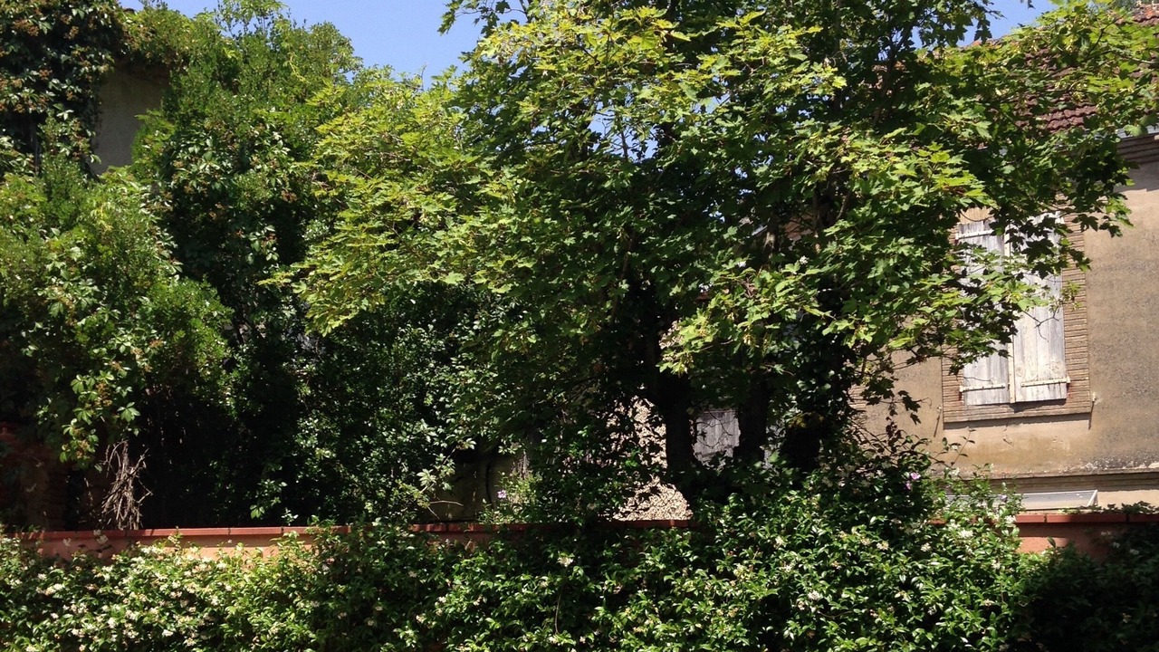 Photo of Outdoor in Montech