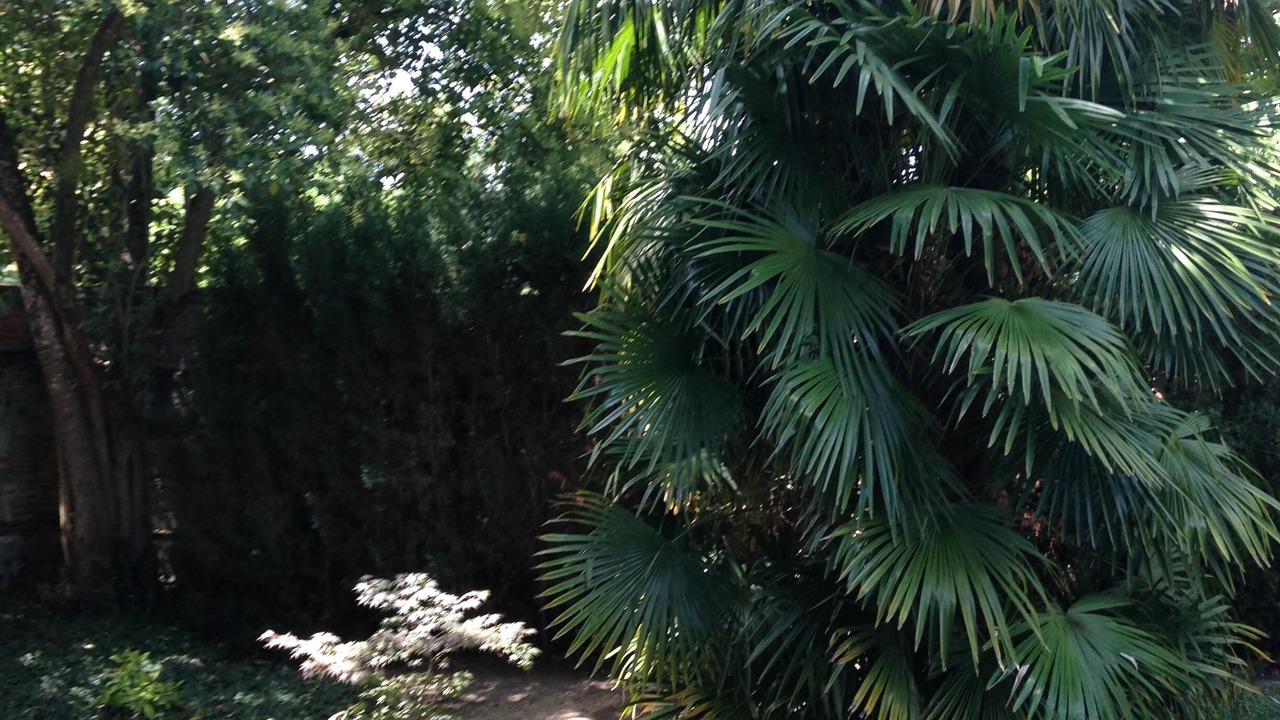 Photo of Outdoor in Montech