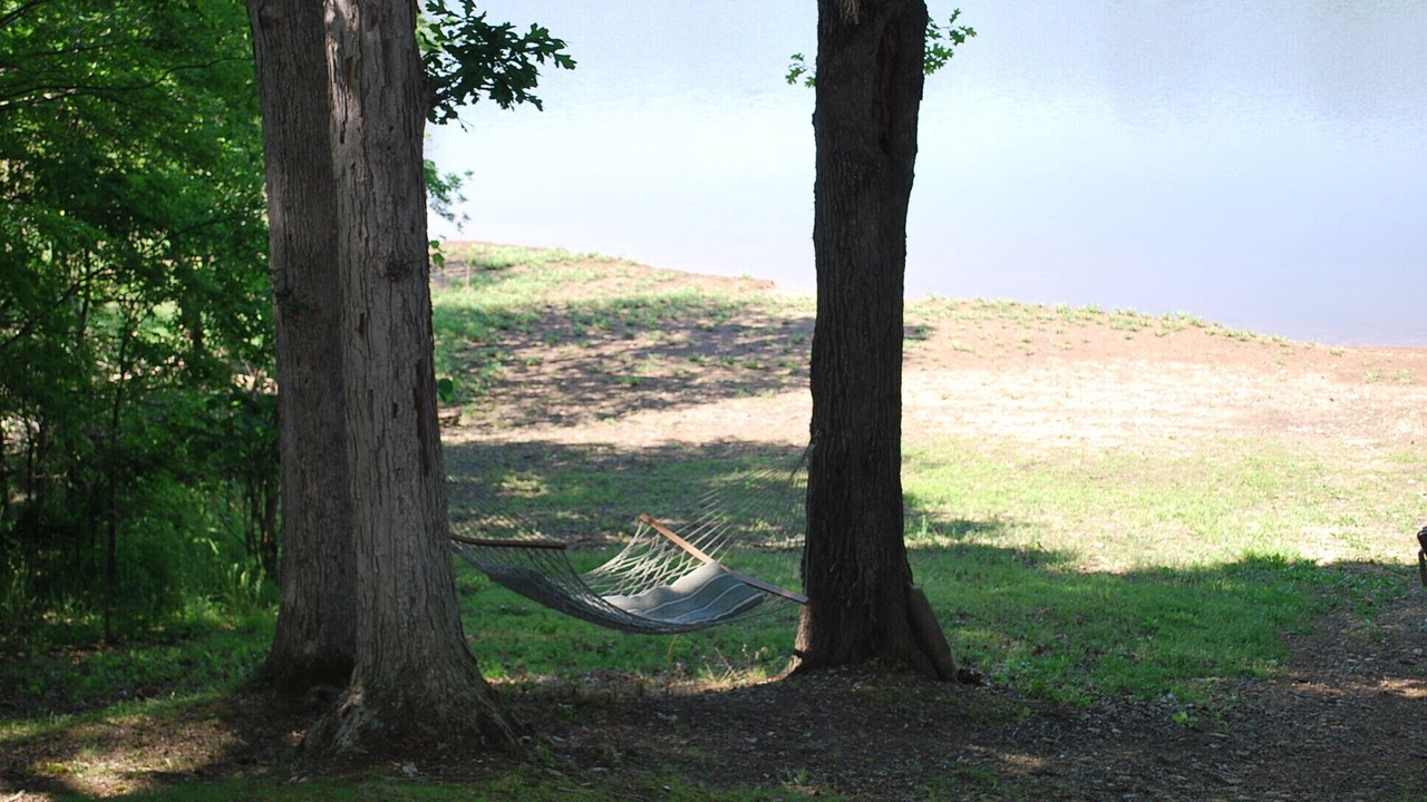 Photo of Outdoor in Glasgow