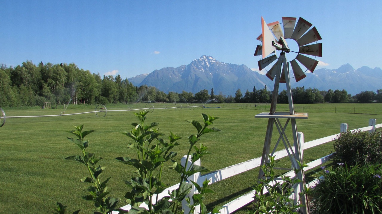 Photo of Outdoor in Palmer