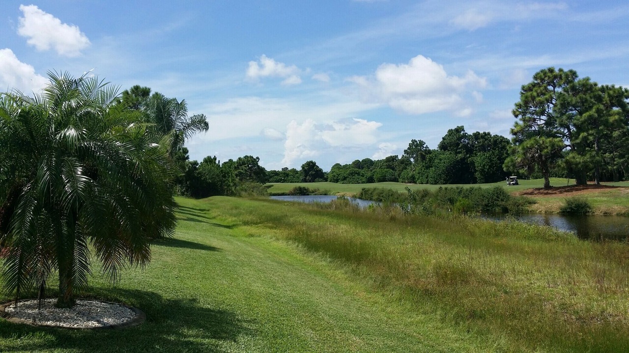 Photo of Outdoor in White Marsh