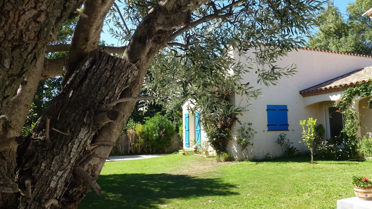 Photo of Outdoor in Baho