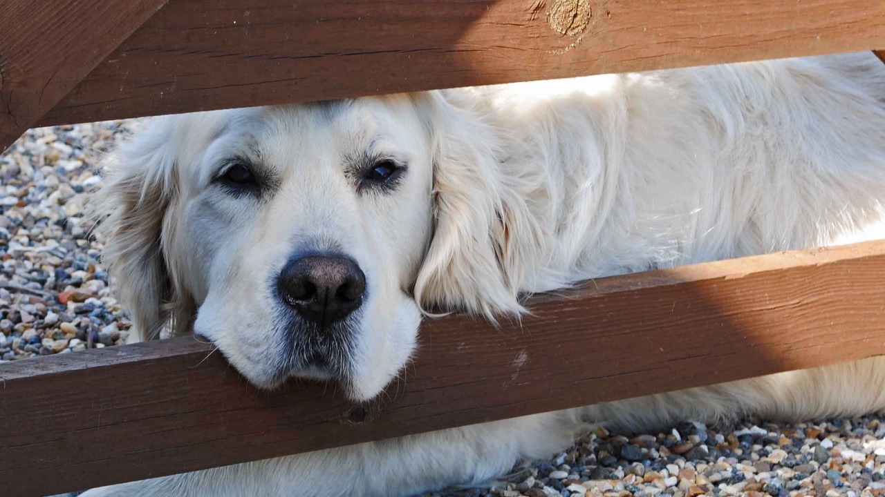 Photo of Others in Helperthorpe