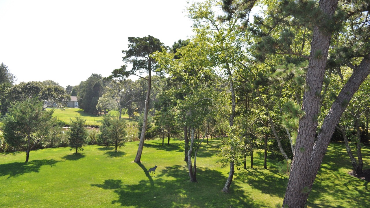 Photo of Outdoor in Remsenburg