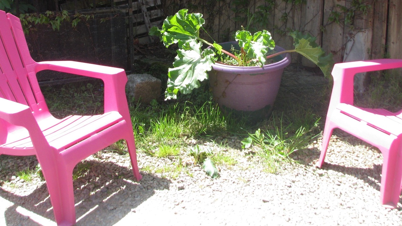 Photo of Outdoor in Saint-Jacques-d'Ambur