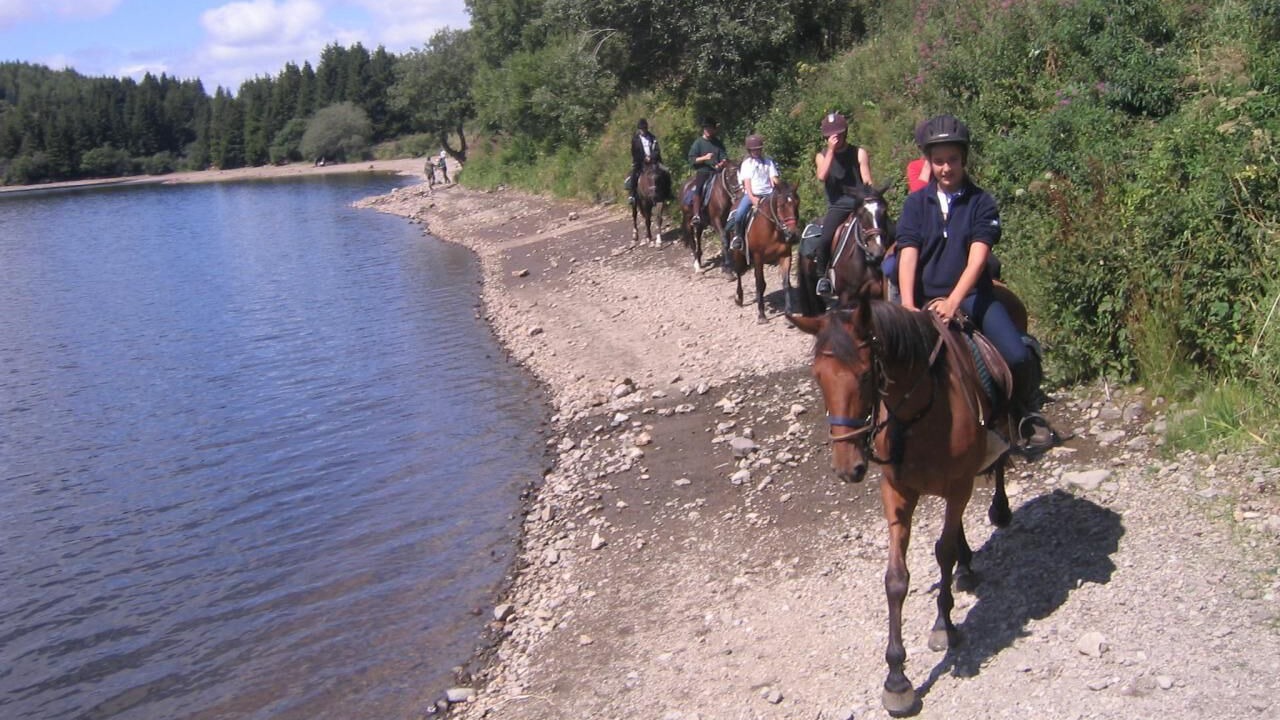 Photo of Others in Saint-Jacques-d'Ambur