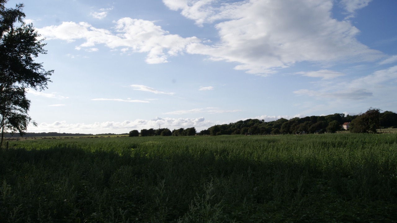 Photo of Outdoor in Saint-Quentin-Lamotte-Croix-au-Bailly
