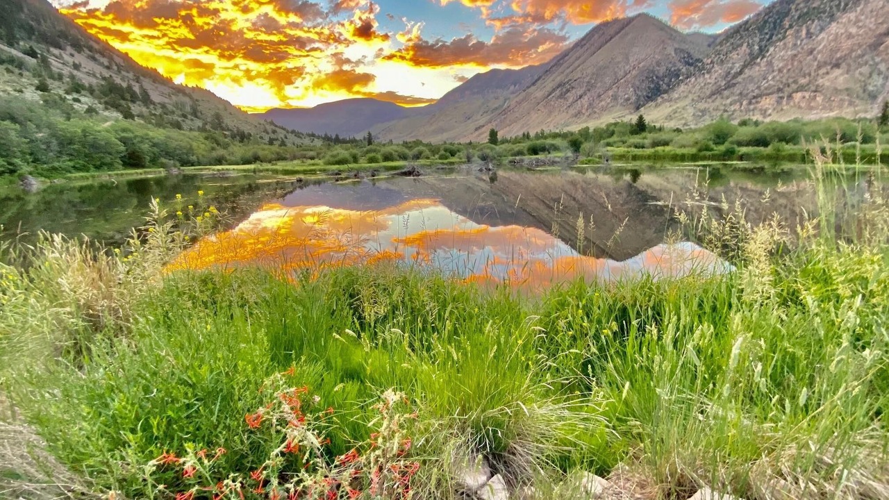 Photo of Others in Mountain Home
