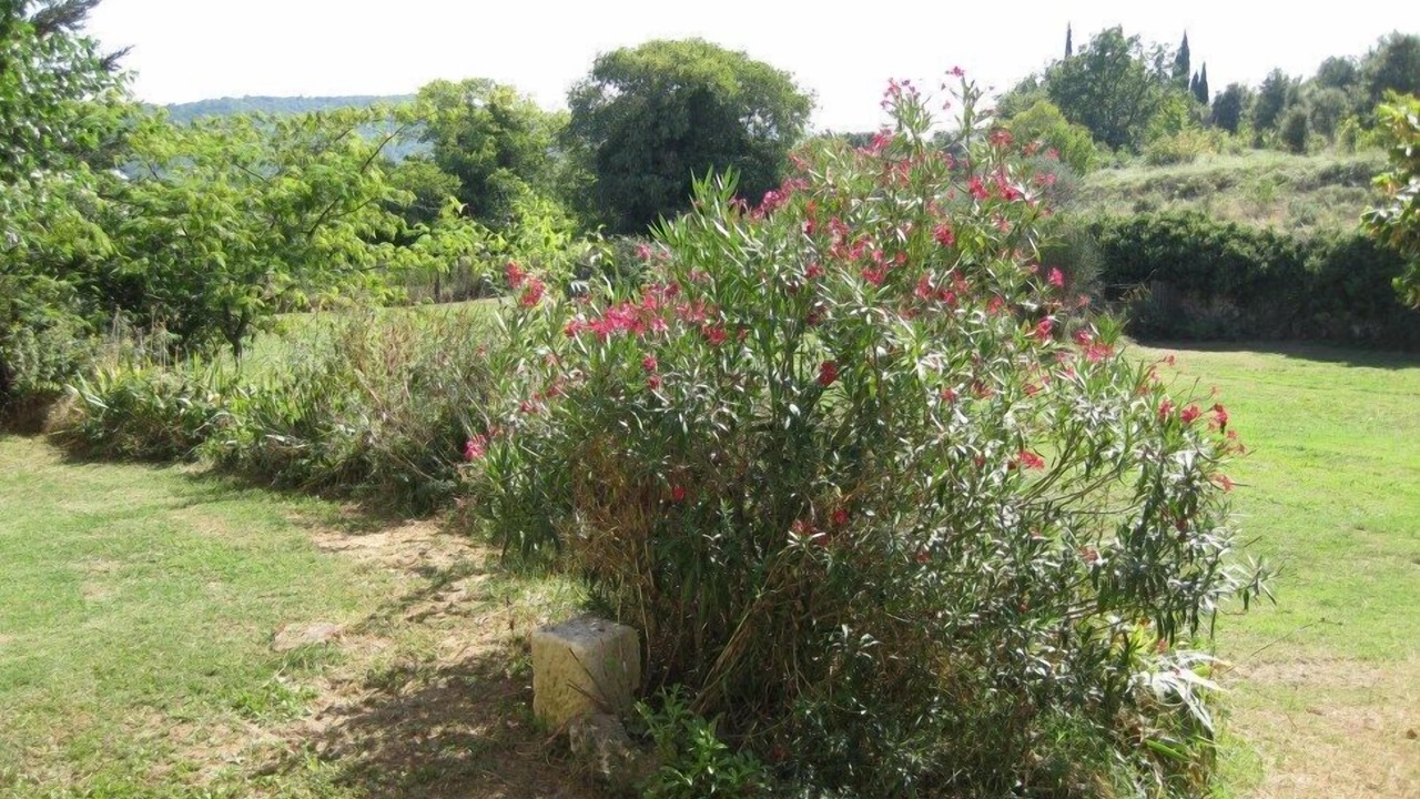 Photo of Outdoor in Saint-Andre-d'Olerargues