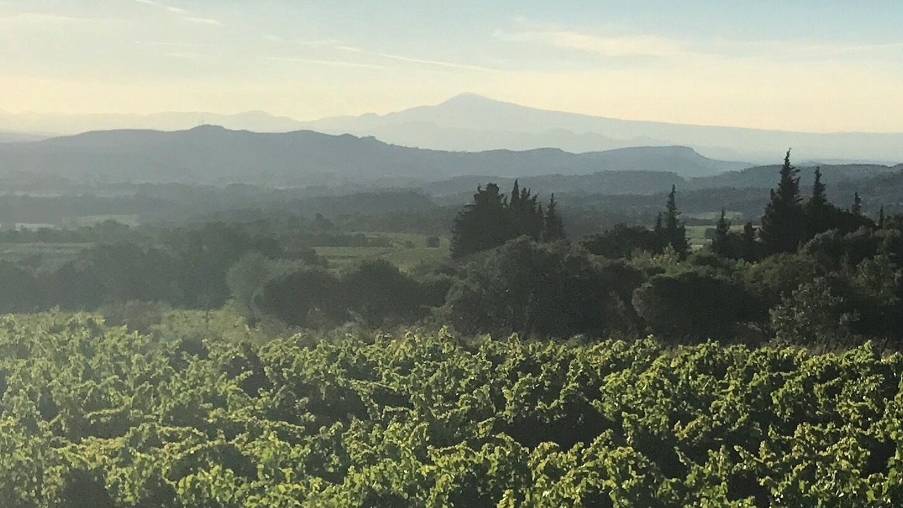 Photo of Others in Saint-Andre-d'Olerargues