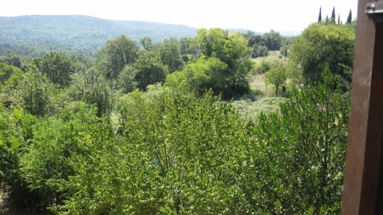 Photo of Others in Saint-Andre-d'Olerargues