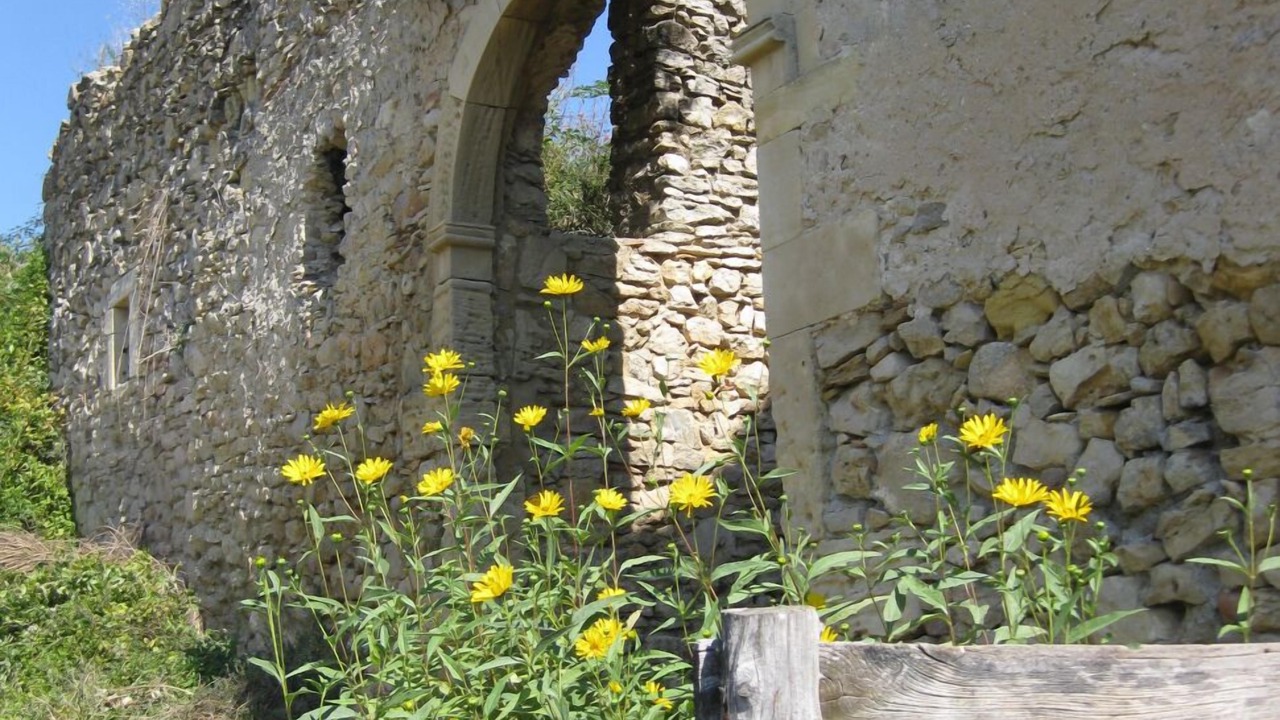 Photo of Outdoor in Saint-Andre-d'Olerargues