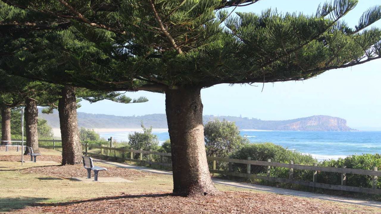 Photo of Outdoor in North Haven