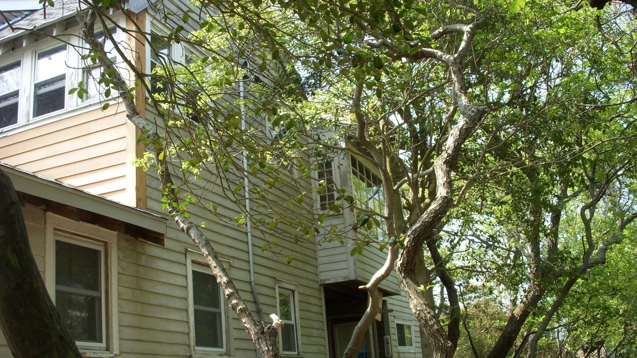 Photo of Outdoor in Davis Park