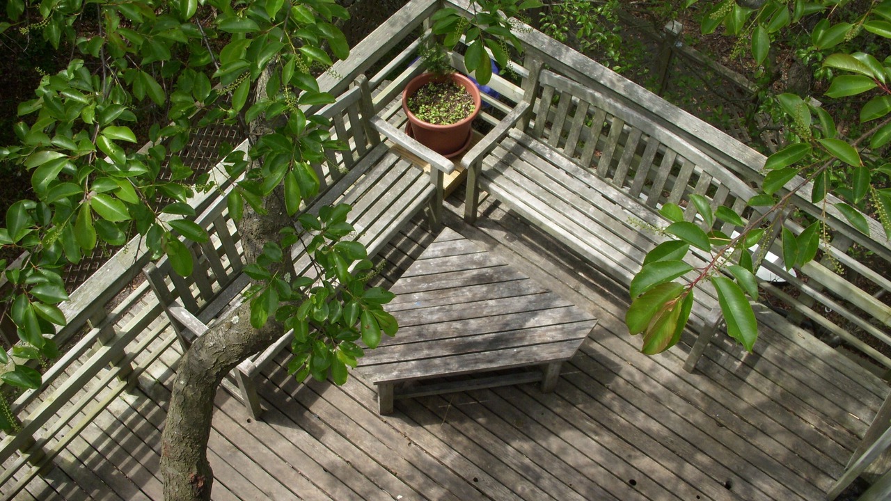 Photo of Patio Balcony in Davis Park