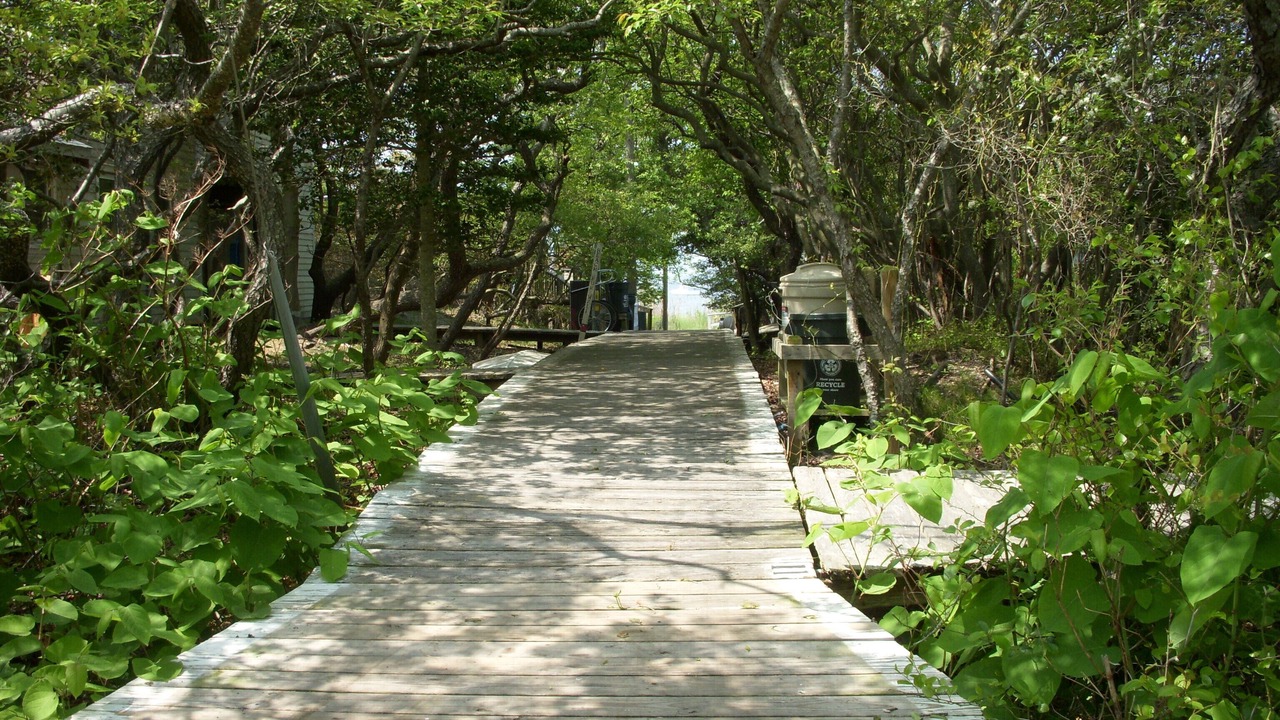 Photo of Outdoor in Davis Park