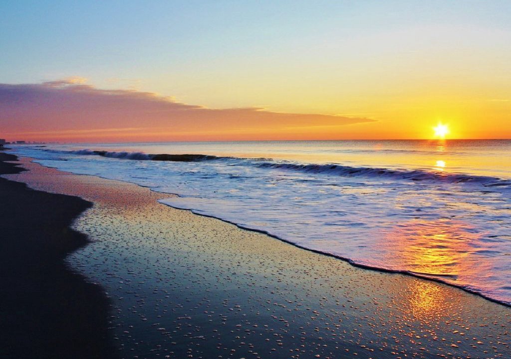 Photo of Others in Myrtle Beach