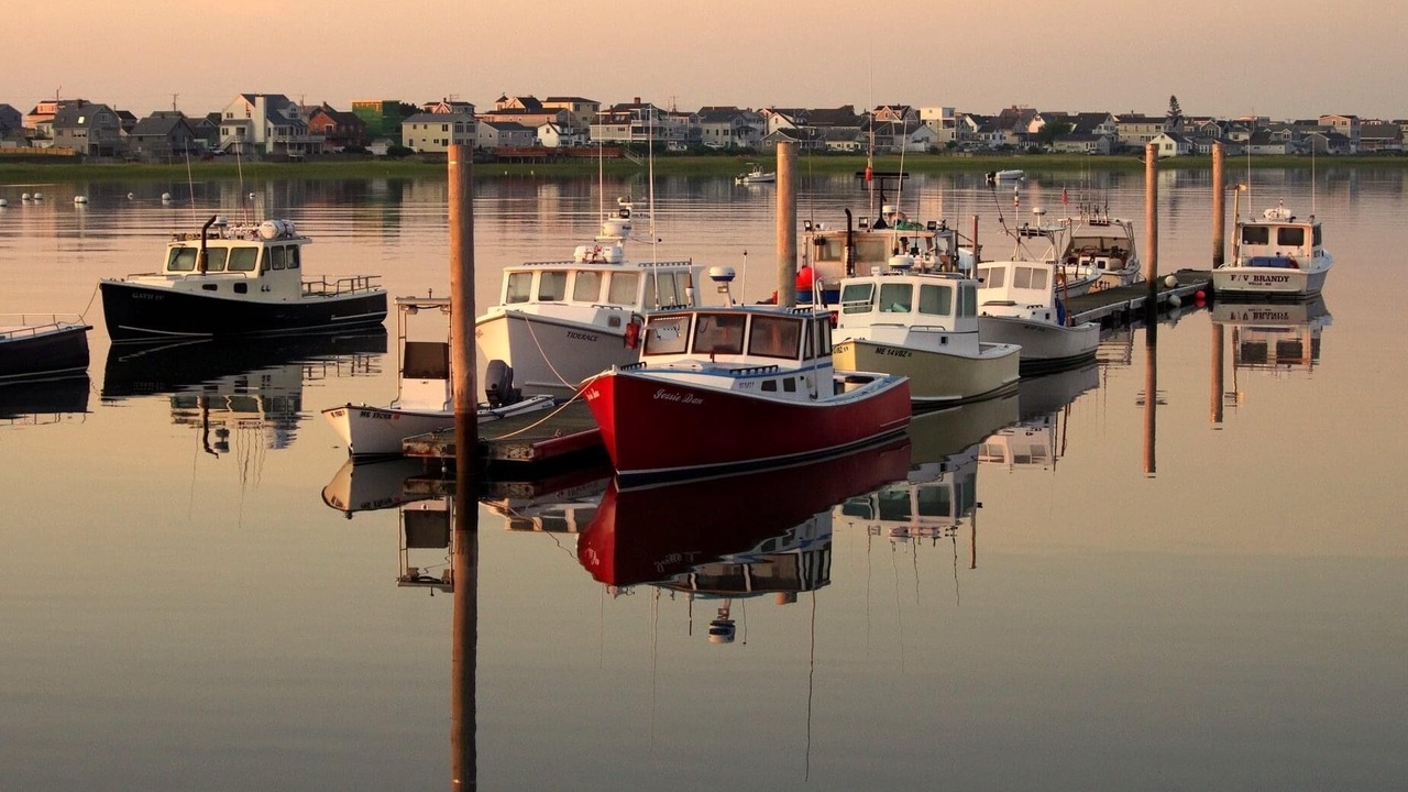 Photo of Others in Wells