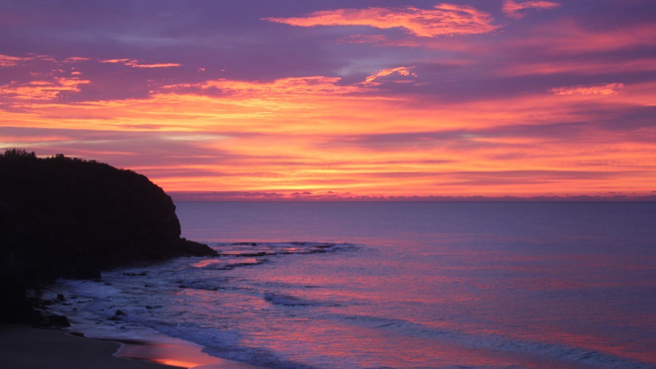 Photo of Others in Warriewood