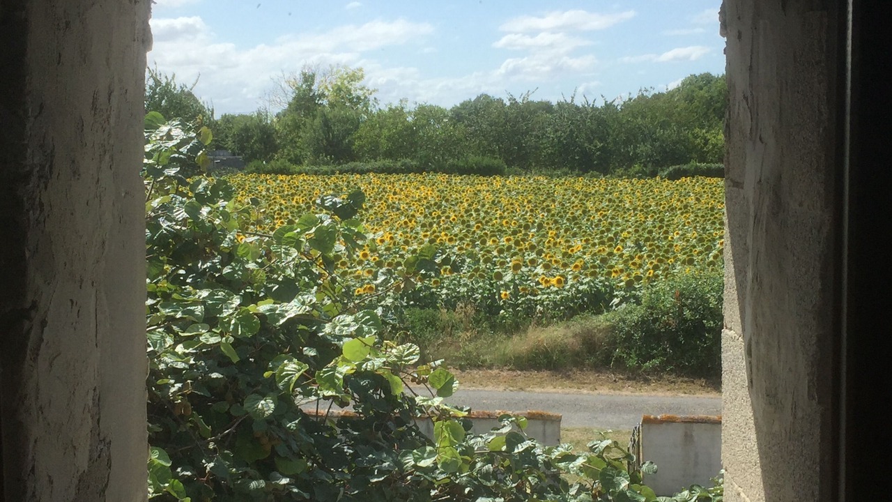 Photo of Others in Gibourne