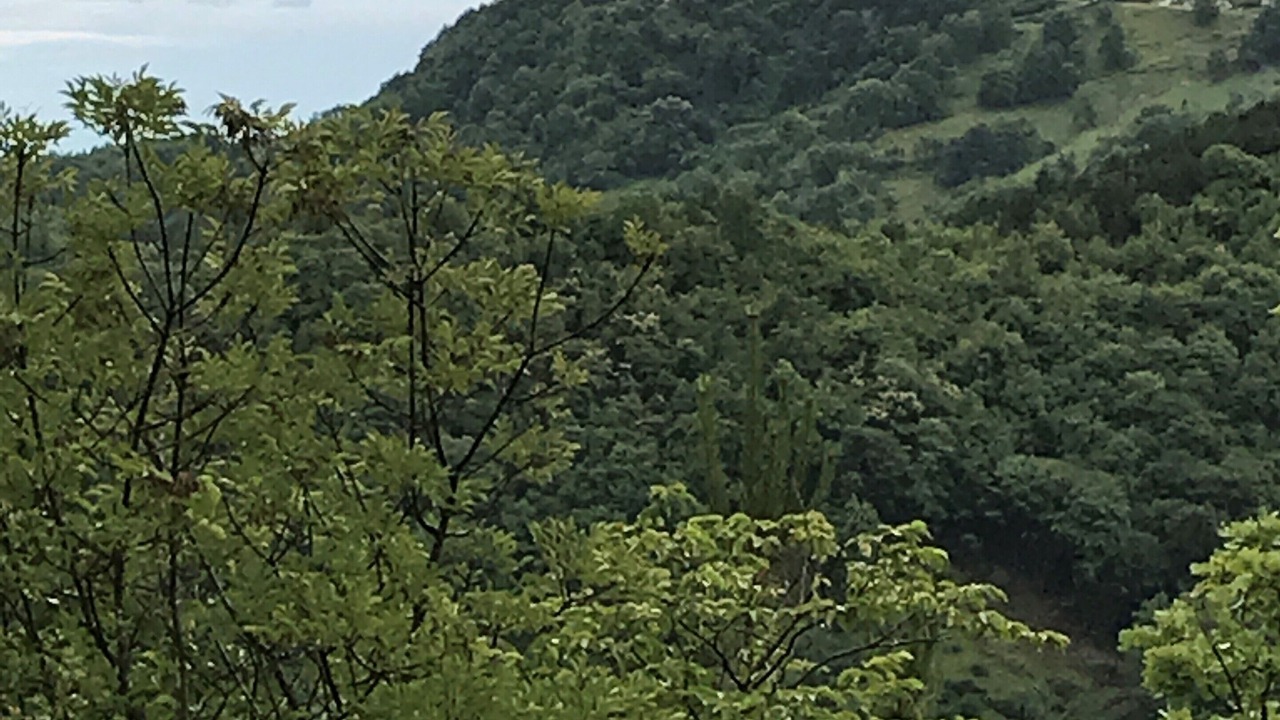 Photo of Others in Gracisce