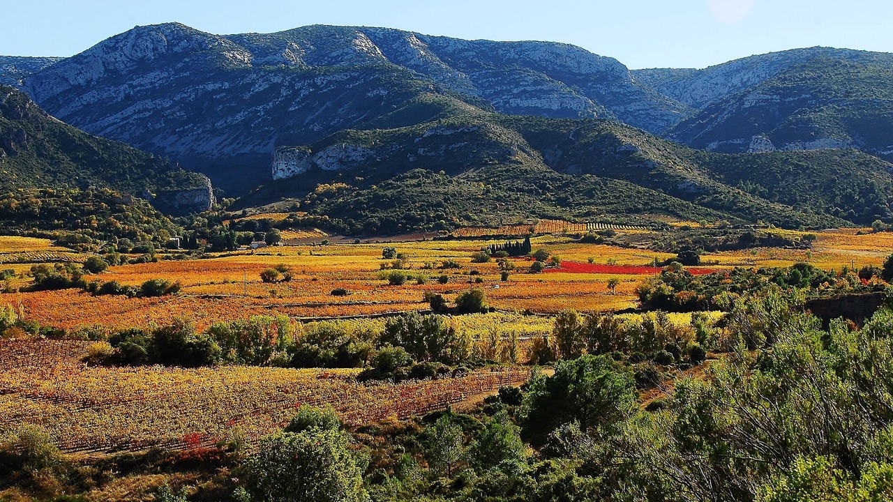 Photo of Outdoor in Embres-et-Castelmaure