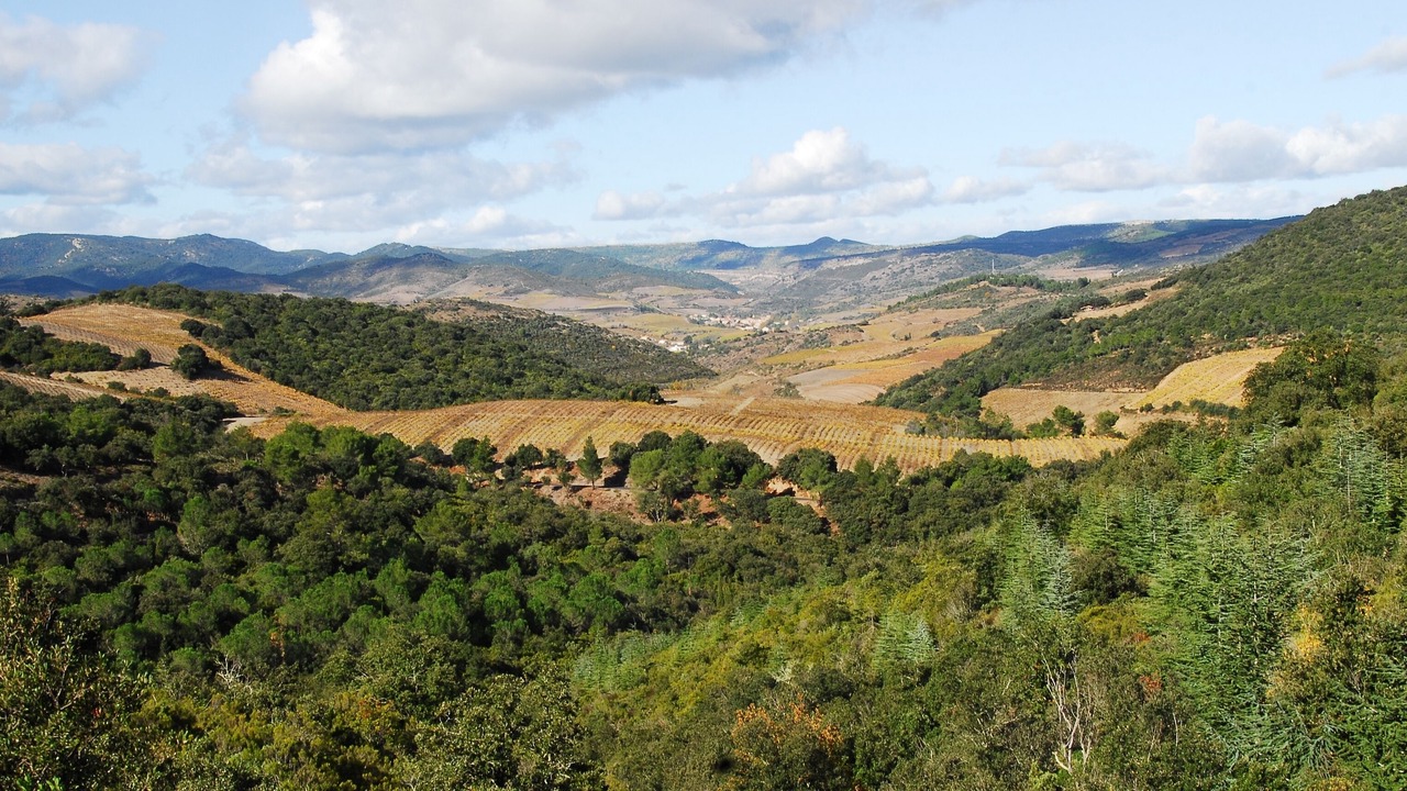 Photo of Outdoor in Embres-et-Castelmaure