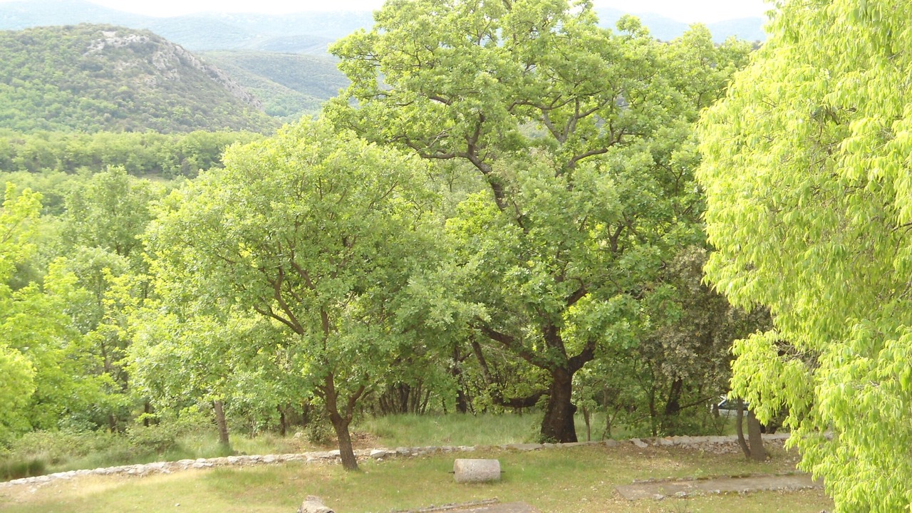 Photo of Others in Saint-Andre-de-Bueges