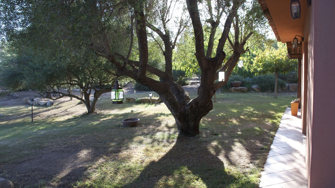 Photo of Outdoor in Porto-Vecchio