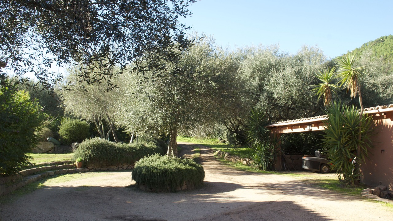 Photo of Outdoor in Porto-Vecchio