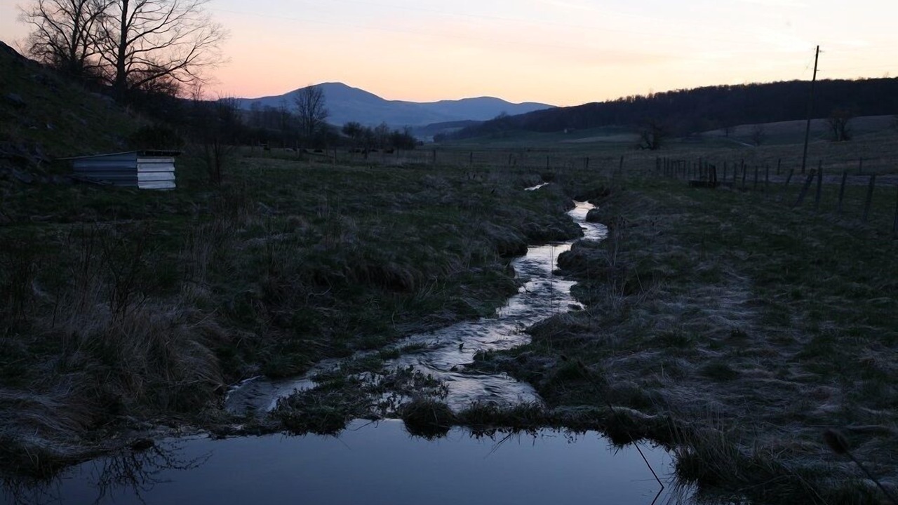 Photo of Others in Blue Grass