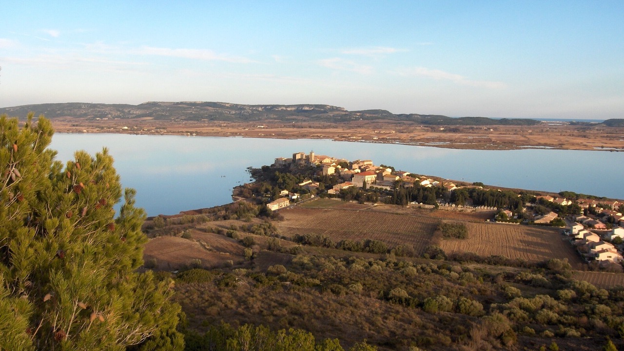 Photo of Others in Bages
