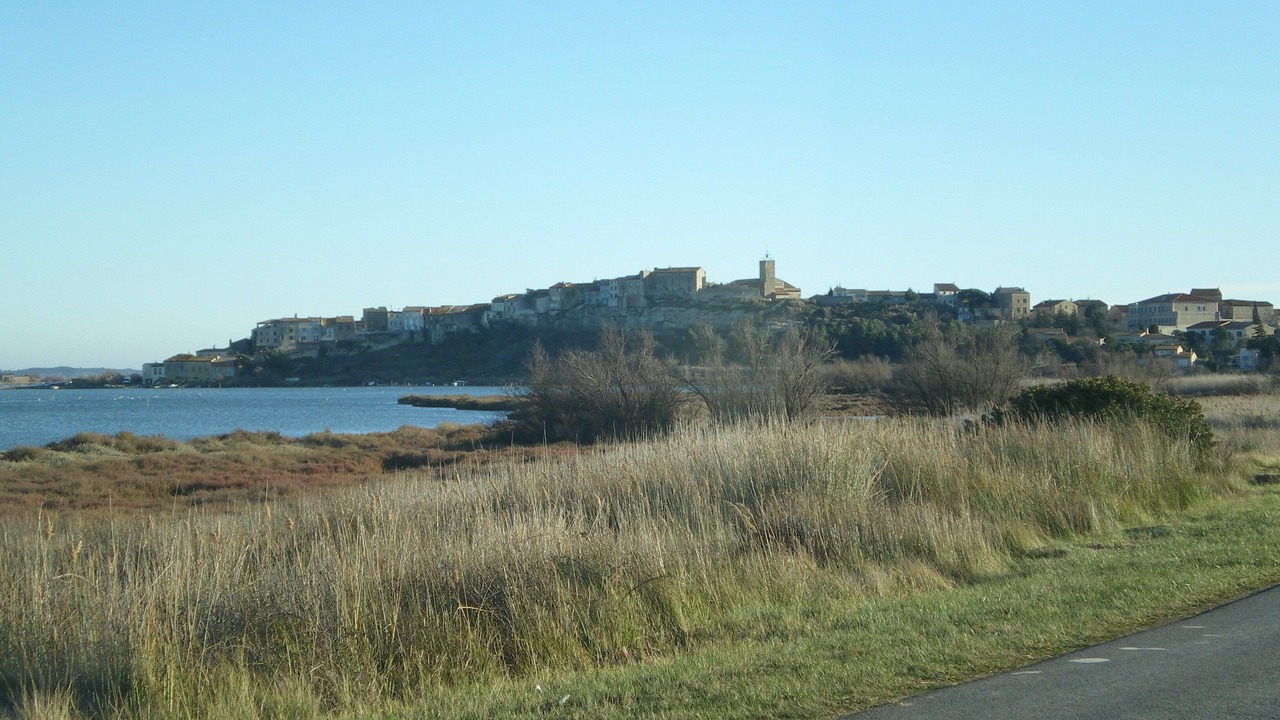 Photo of Others in Bages