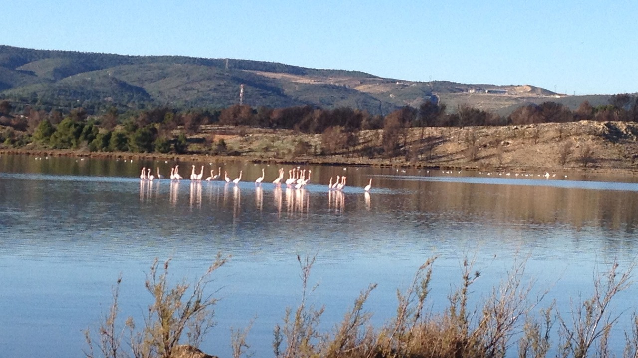 Photo of Outdoor in Bages