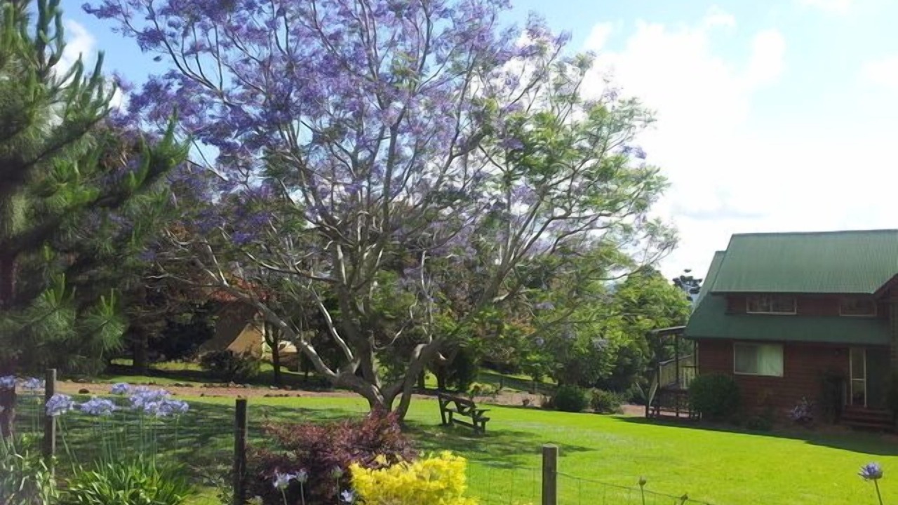 Photo of Outdoor in Witta