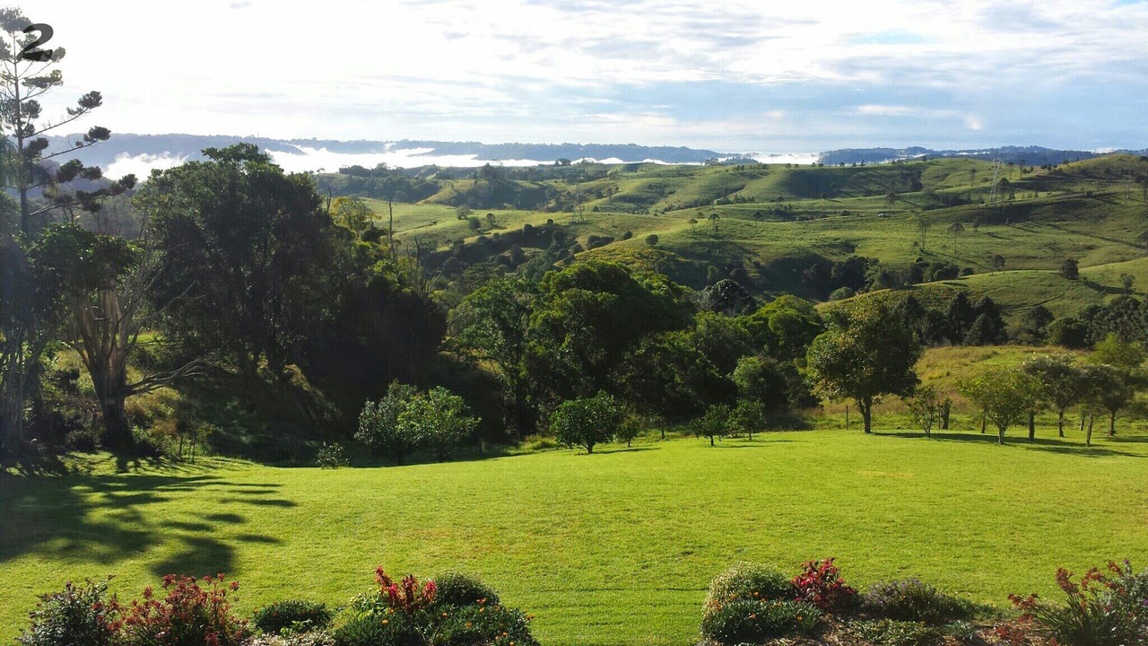 Photo of Outdoor in Witta