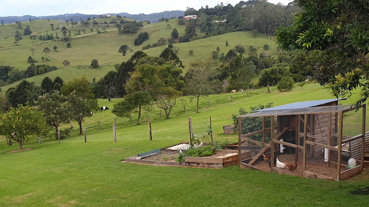 Photo of Outdoor in Witta