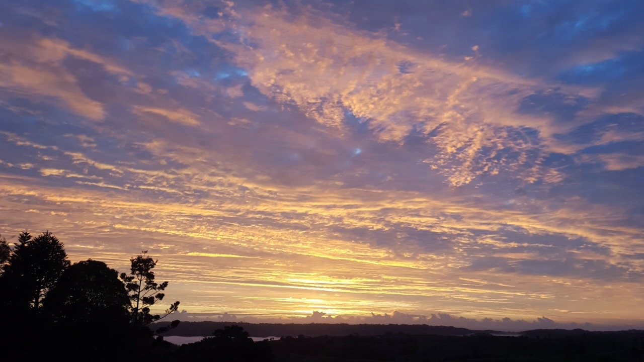 Photo of Others in Witta