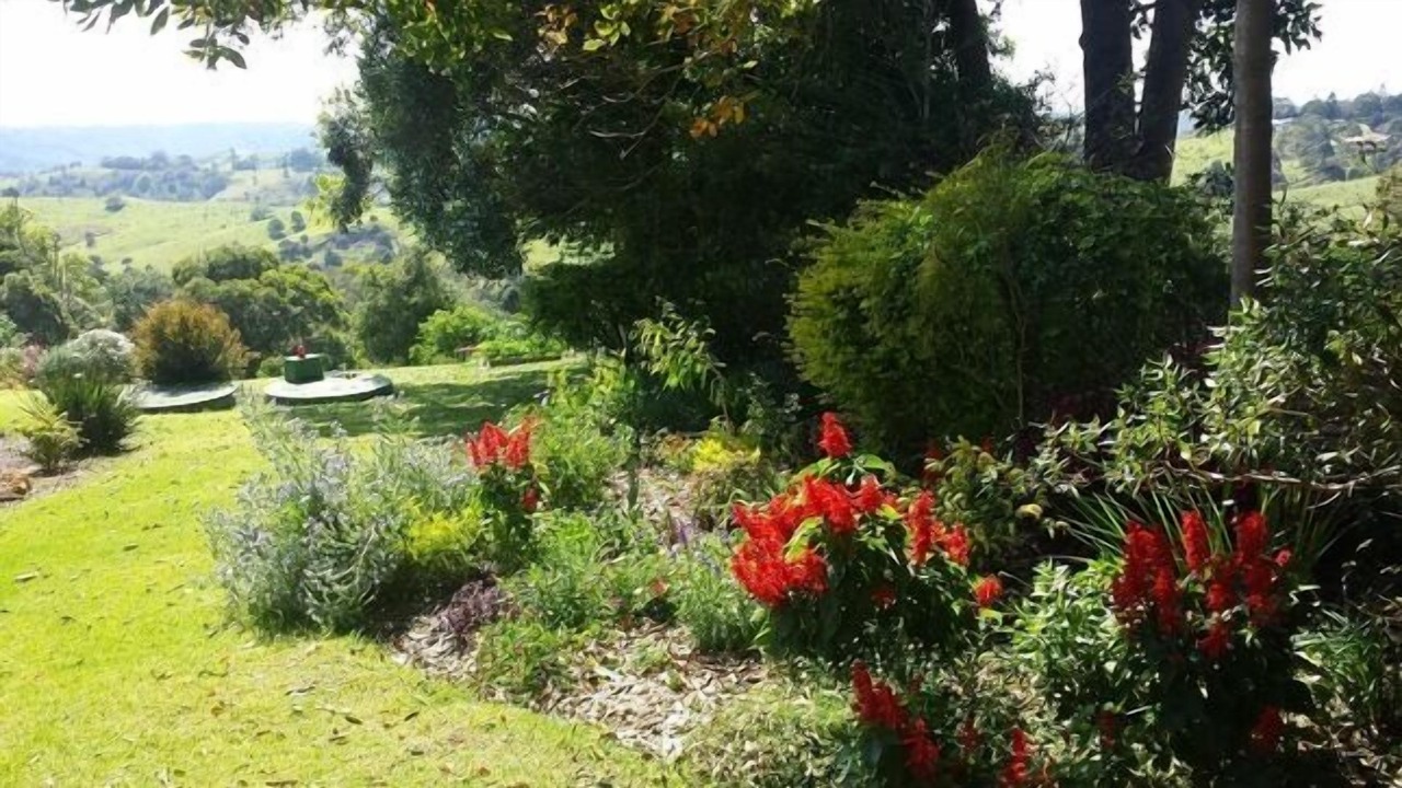 Photo of Outdoor in Witta